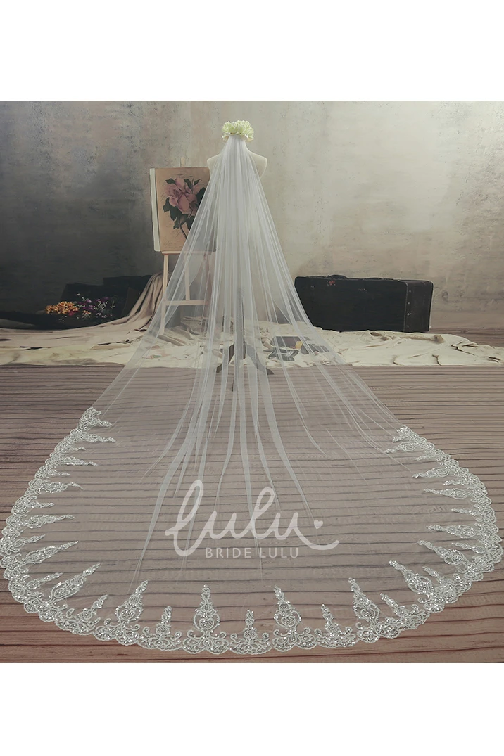 Cathedral Tulle Wedding Veil Ethereal Lace Edge