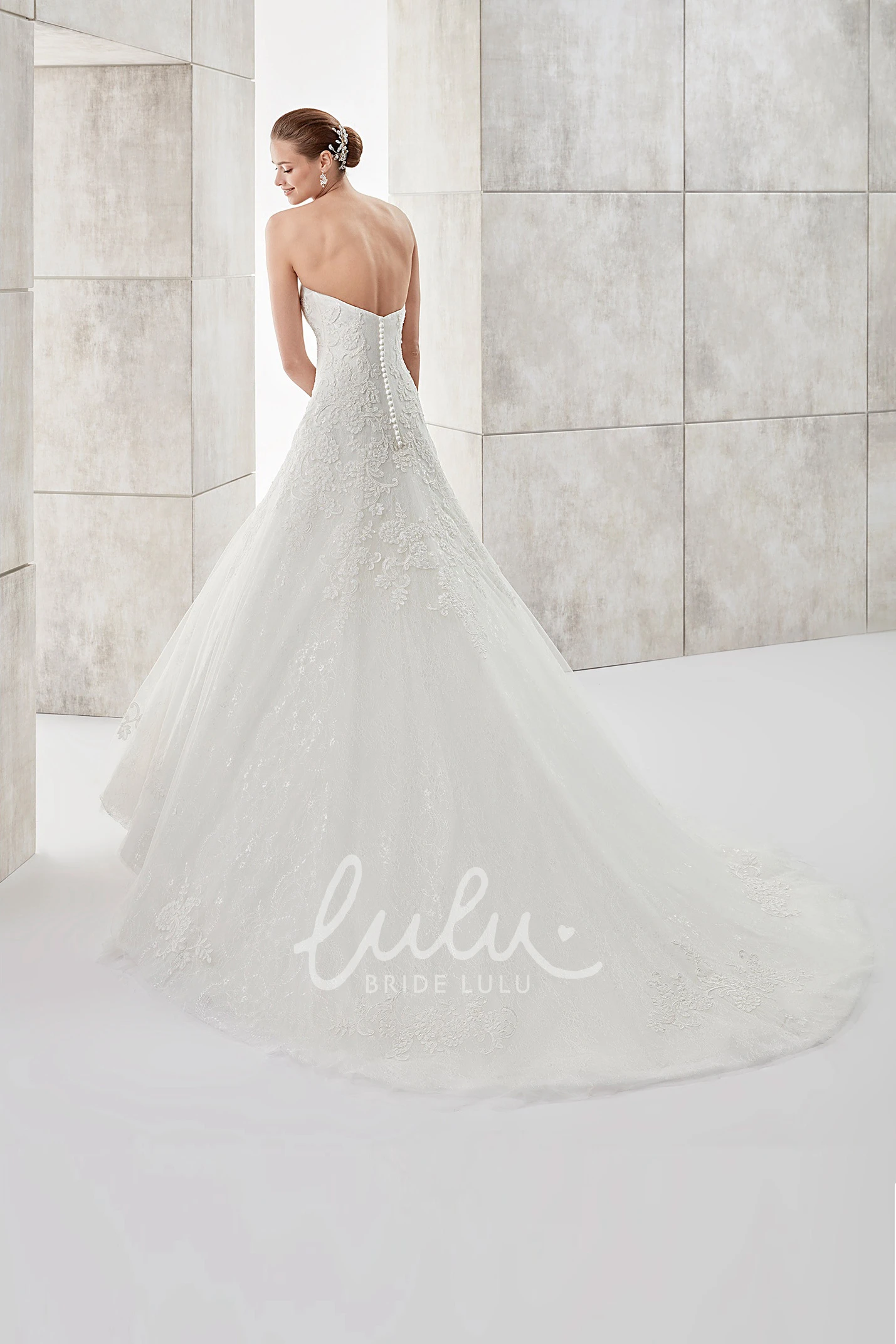 Applique A-line Wedding Dress with Brush Train Simple & Elegant