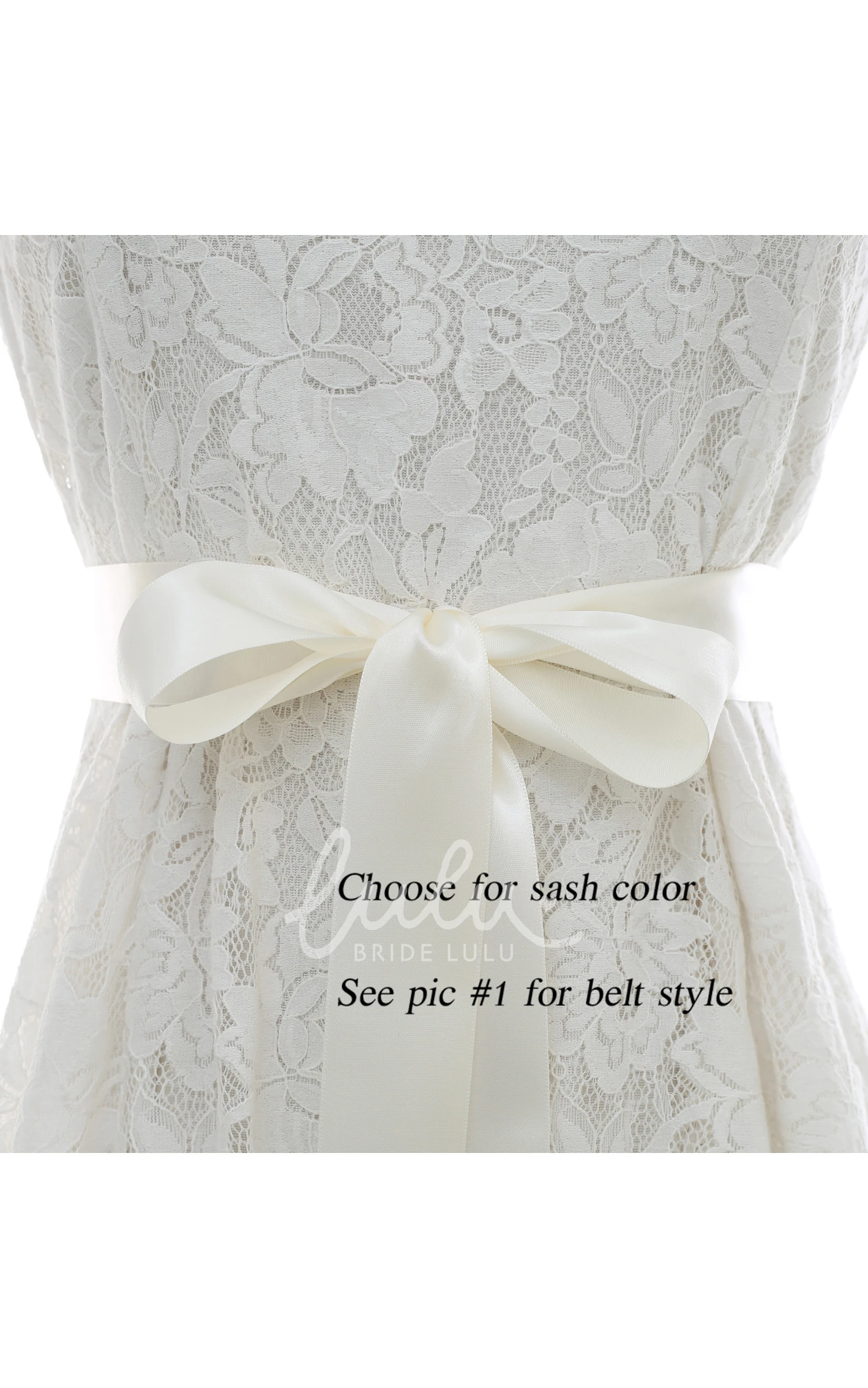 Bridal Crystal Appliqued Belt