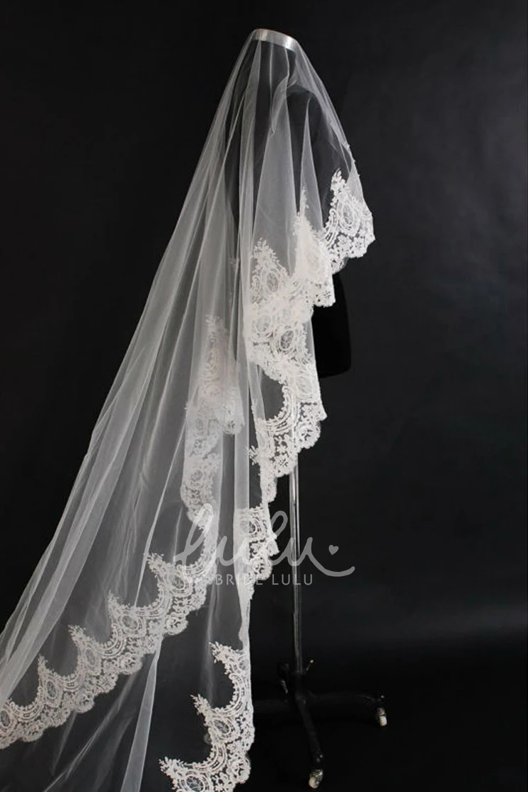 Beautiful Soft Tulle Bridal Veil with Lace Appliques Wedding Dress