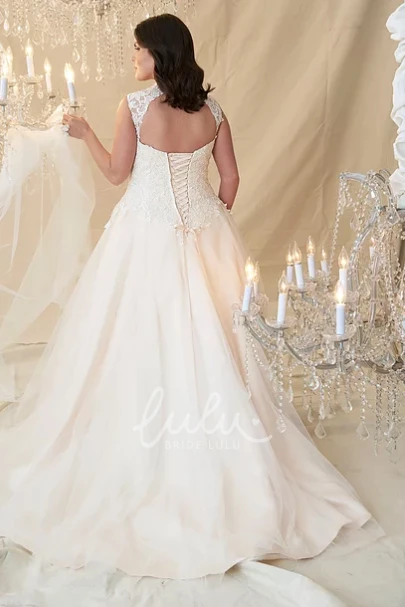 Ball Gown V-Neck Beaded Sleeveless Tulle&Lace Plus Size Wedding Dress Glamorous Ball Gown Wedding Dress