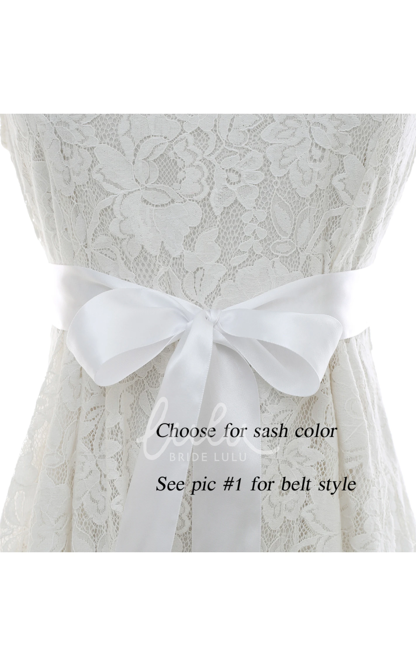 Bridal Crystal Appliqued Belt