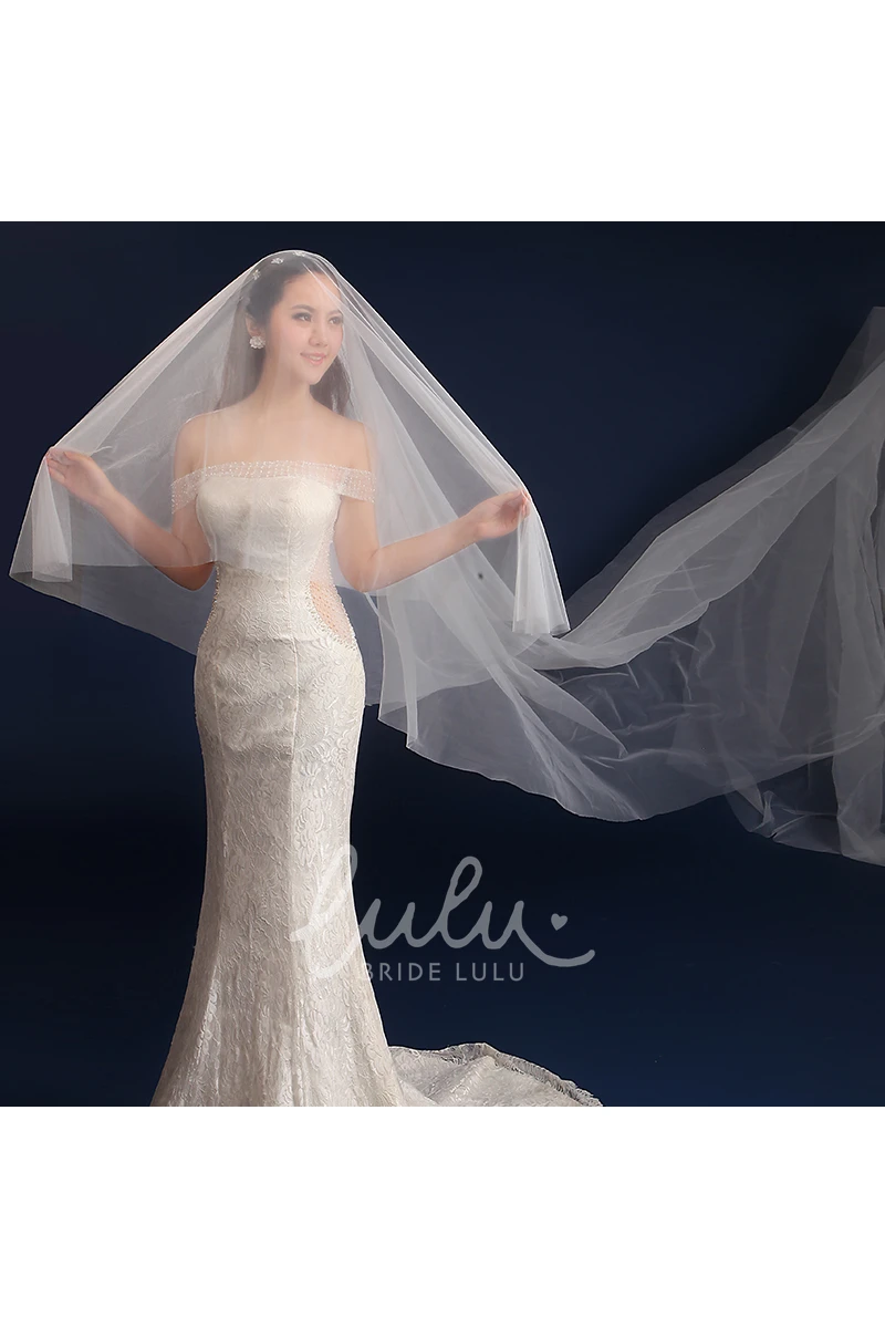 Super Long Tail Tulle Wedding Veil 3 Meters