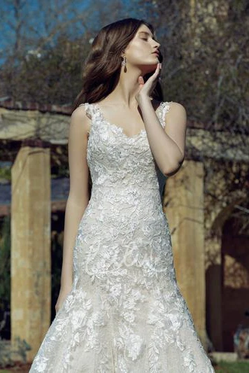 V-Neck Lace Trumpet Wedding Dress with Court Train Sleeveless and Deep-V Back