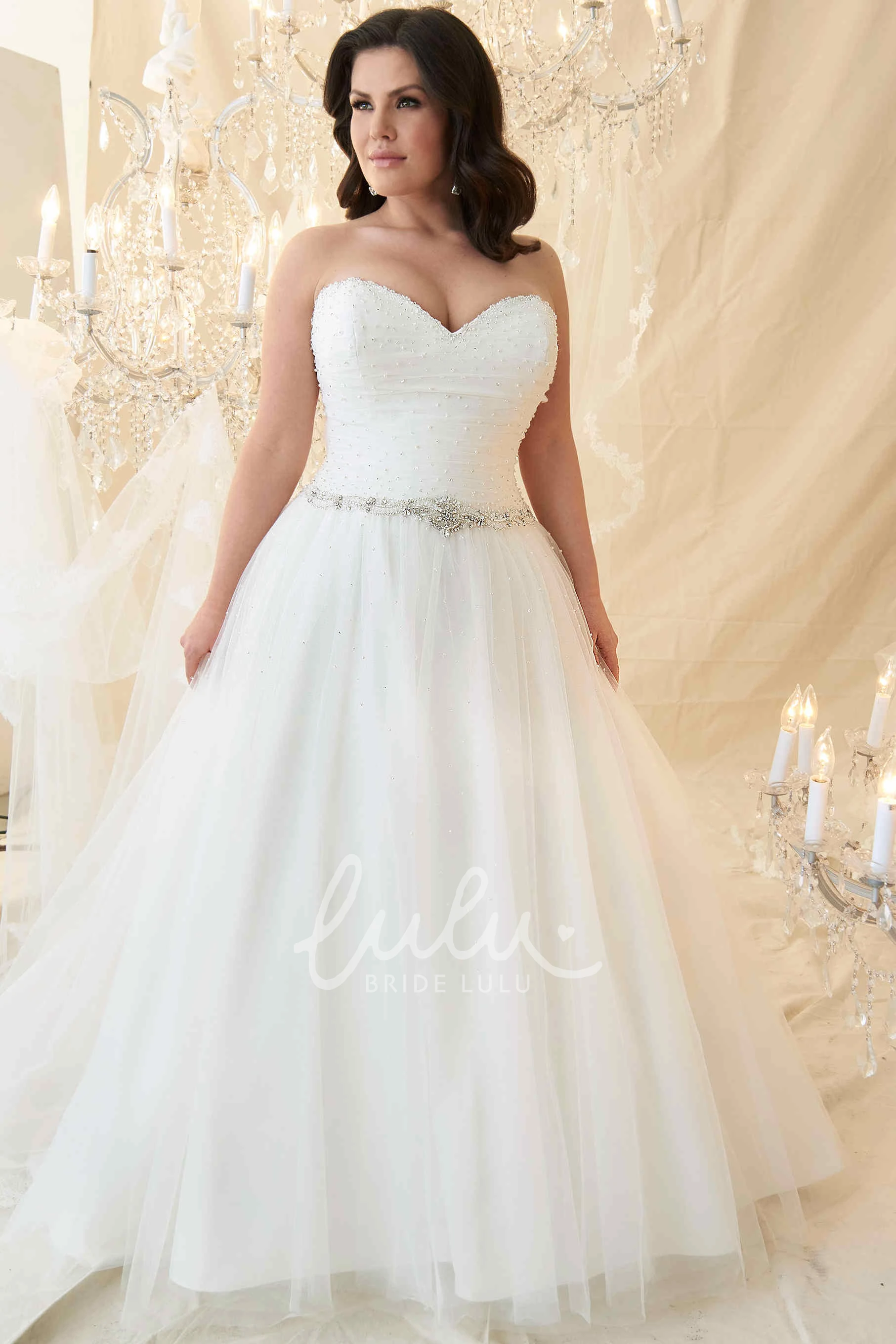 A-Line Sleeveless Long Beaded Sweetheart Tulle Plus Size Wedding Dress Classic Tulle Wedding Dress