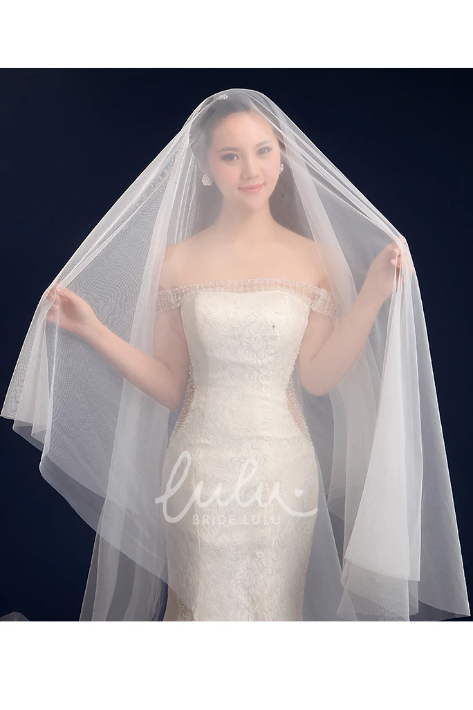 Super Long Tail Tulle Wedding Veil 3 Meters