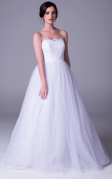 Tulle A-Line Wedding Dress with Strapless Neckline and Lace