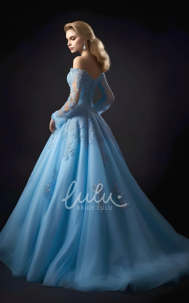 Tulle Long Sleeve Evening Dress Princess Blue Simple Sexy Romantic Sweetheart Sweep Train A-Line