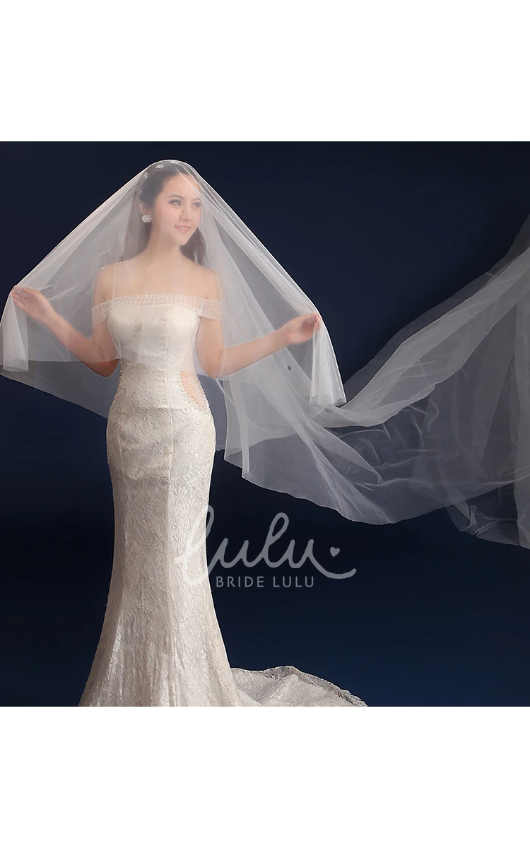 Super Long Tail Tulle Wedding Veil 3 Meters