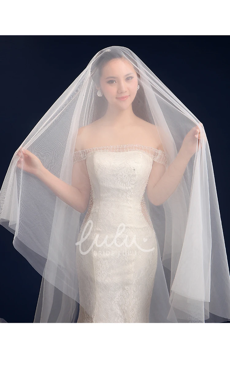 Super Long Tail Tulle Wedding Veil 3 Meters