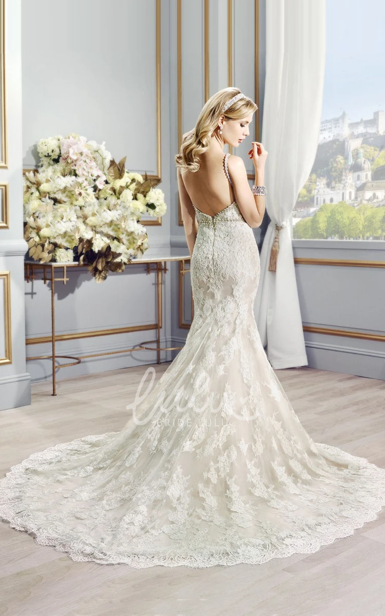 Beaded Lace V-Back Wedding Dress Long Straps Court Train