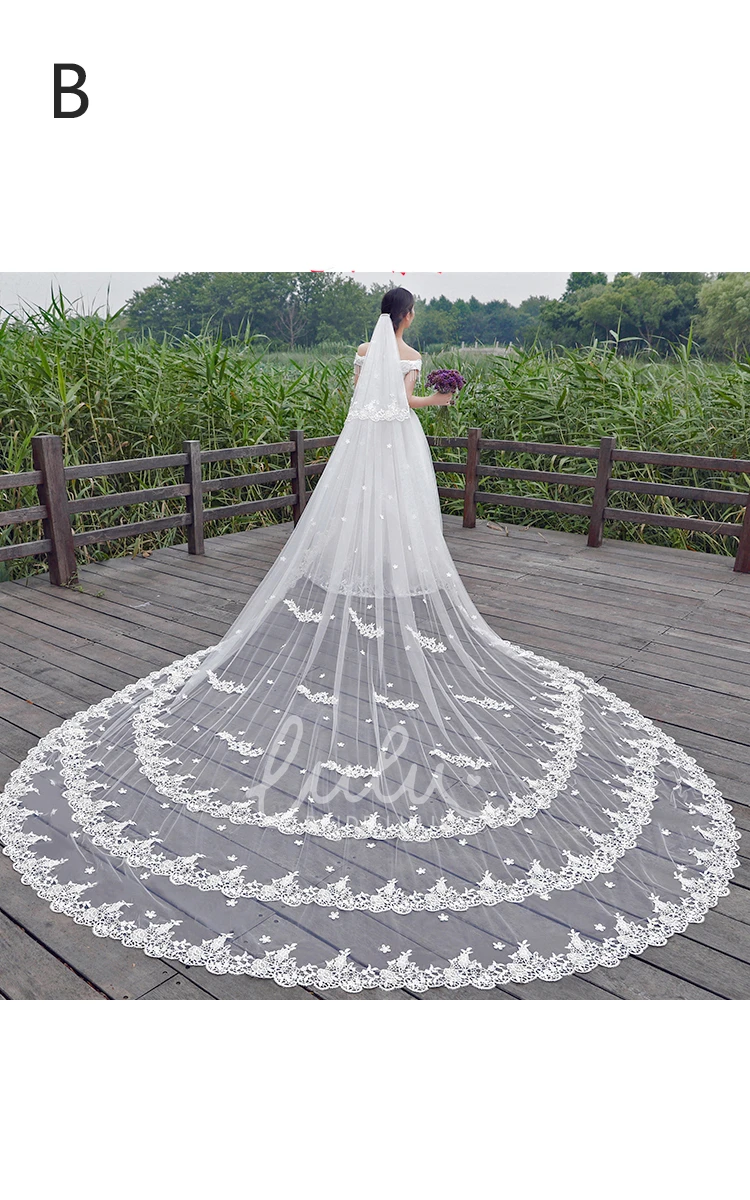 Ethereal Korean Lace Applique Wedding Veil with Extra Length