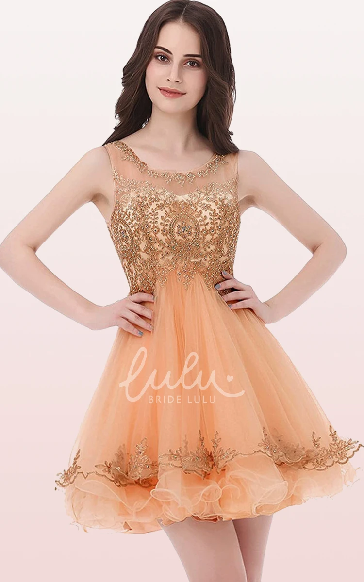 Sleeveless Tulle A-Line Homecoming Dress with Embroidery Romantic and Dreamy